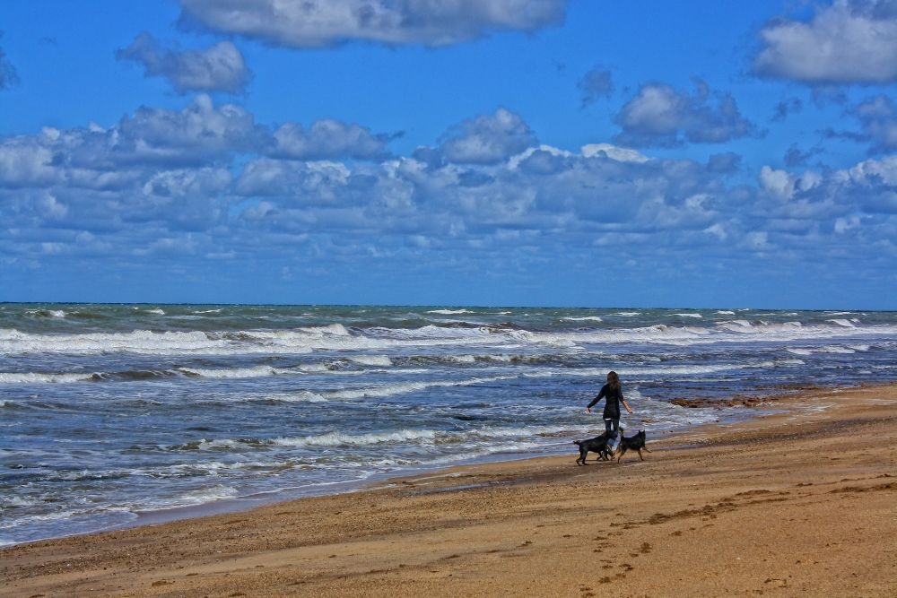 "Correr en la playa" de Stella Maris Kippke