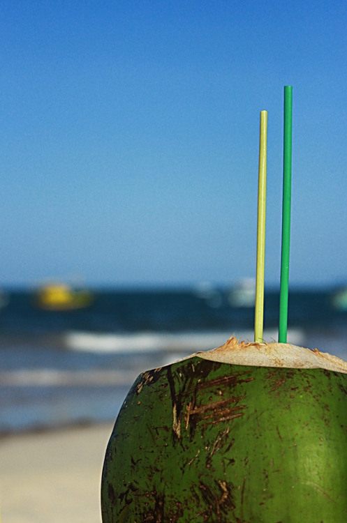 "Agua de coco" de Elizabeth Gutirrez (eligut)