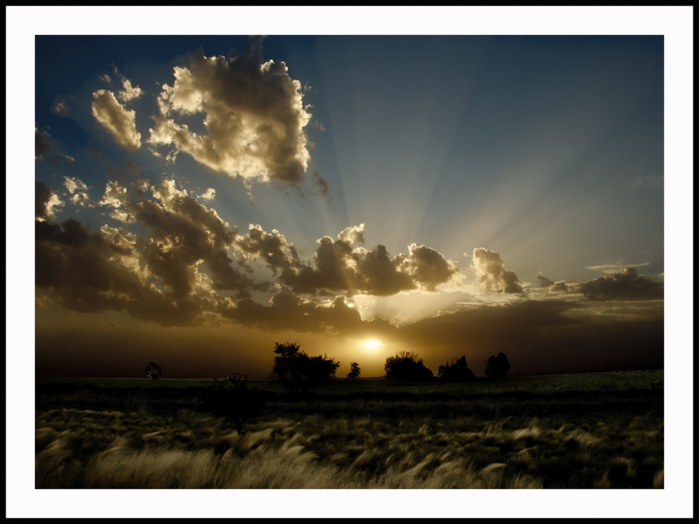 "en el camino" de Jose Luis Anania