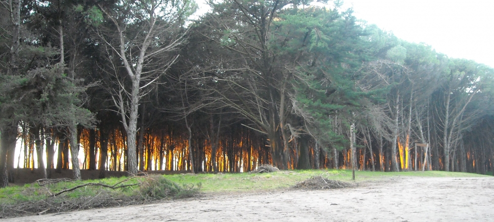 "Parque ML" de Agustin de La Fuente