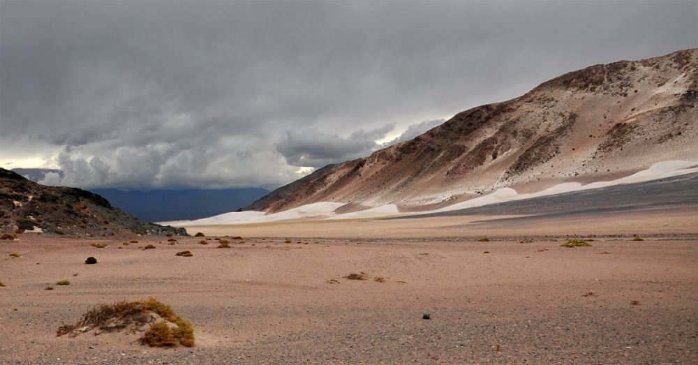 "camino a Antofagasta" de Edith Polverini