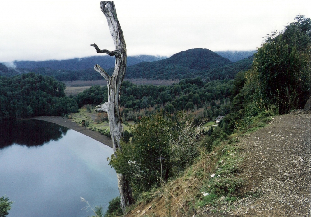 "Lago Espejo" de Monica Casso