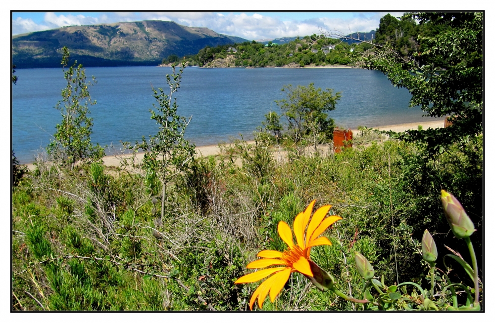 "`Lago y flora del sur" de Isidro Solrzano