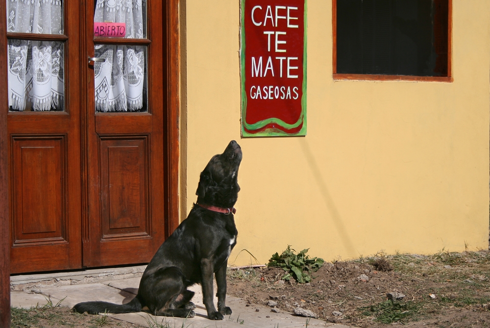 "perro aullador" de Ricardo Clodomiro Torres