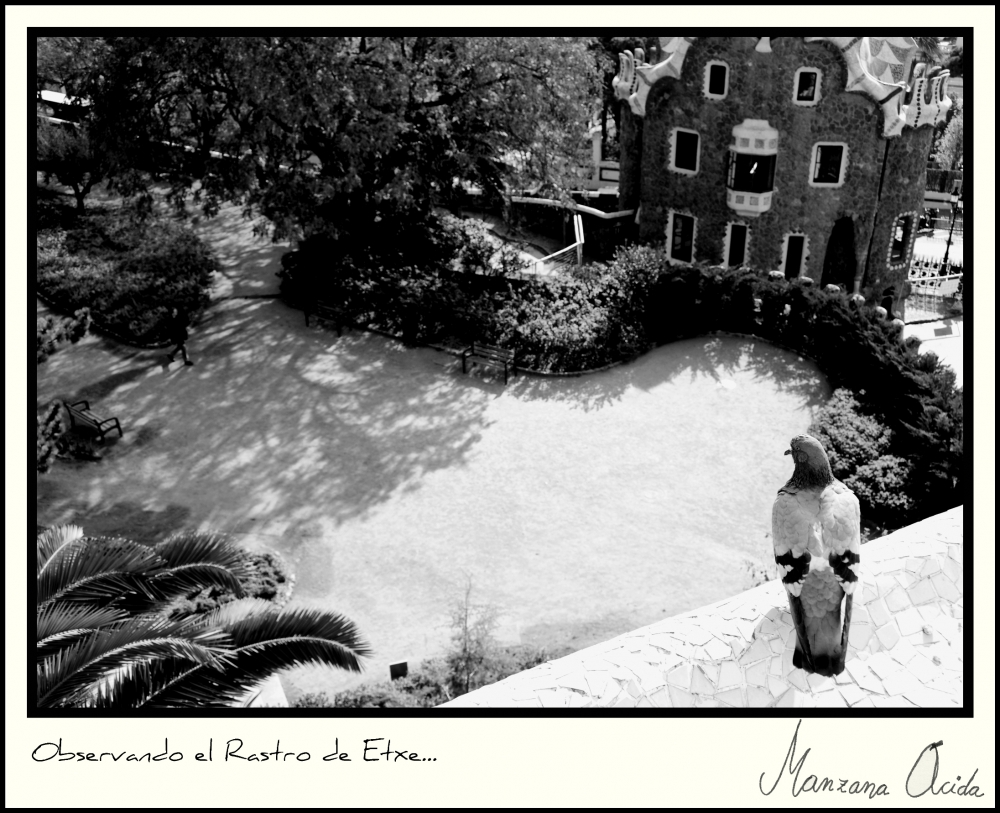 "Observando el Rastro de Etxe..." de Carmen Esteban