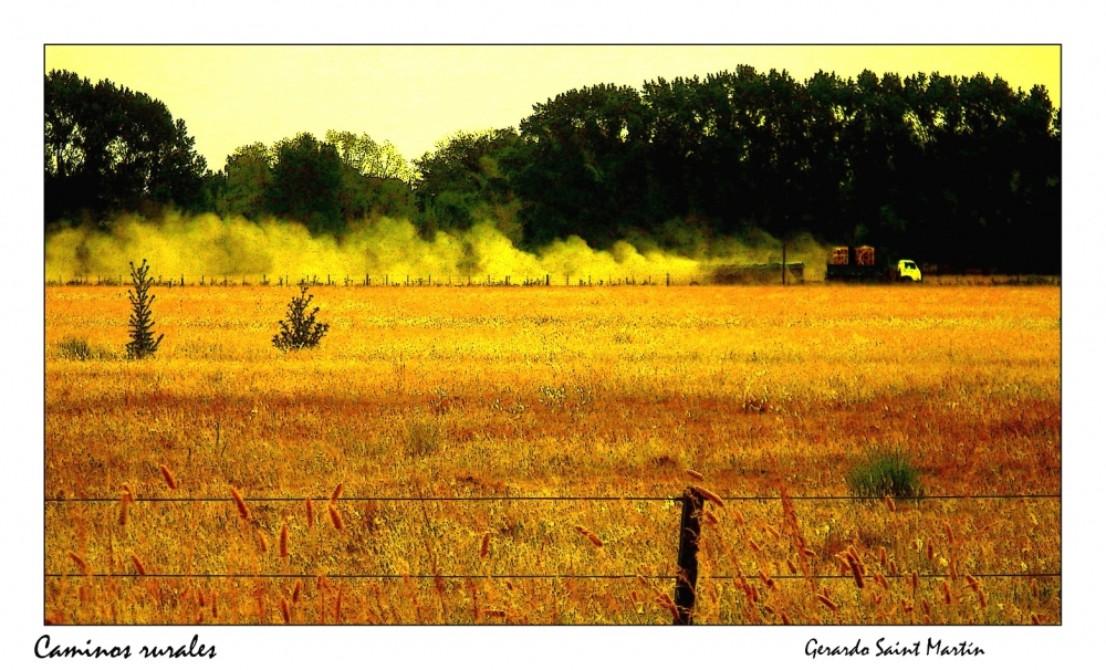 "Caminos rurales." de Gerardo Saint Martn