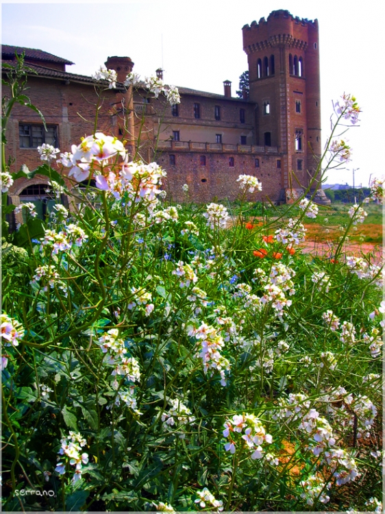 "castillo florido" de Jos Serrano