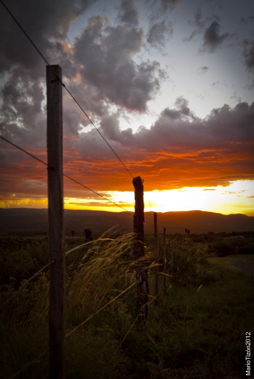 "Cae el sol..." de Mario Tizn