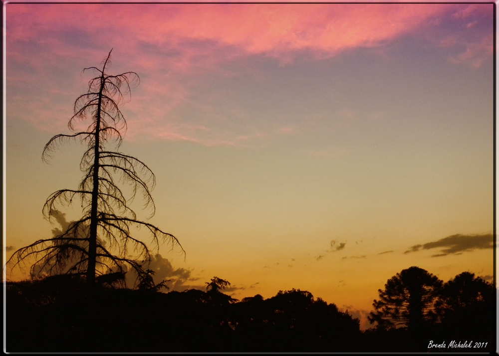 "Los colores del cielo..." de Brenda Yamila Michalek