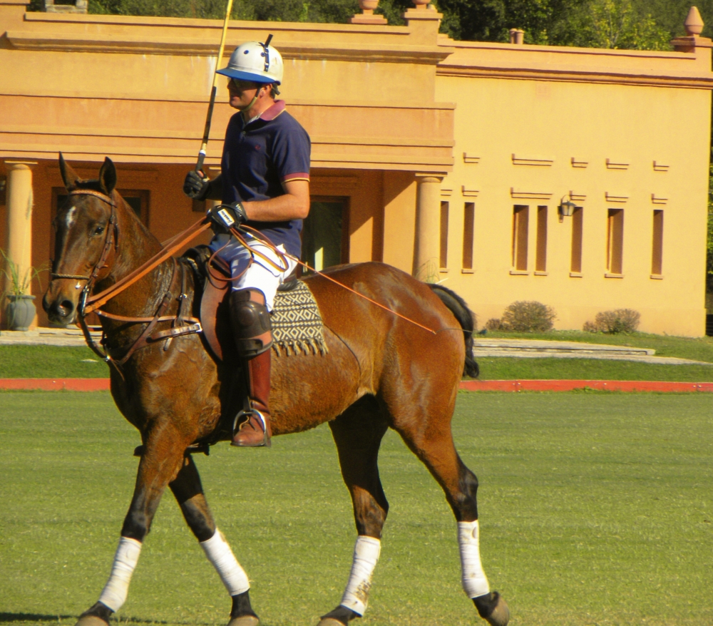 "Polo en Tucumn" de Silvia Mdica