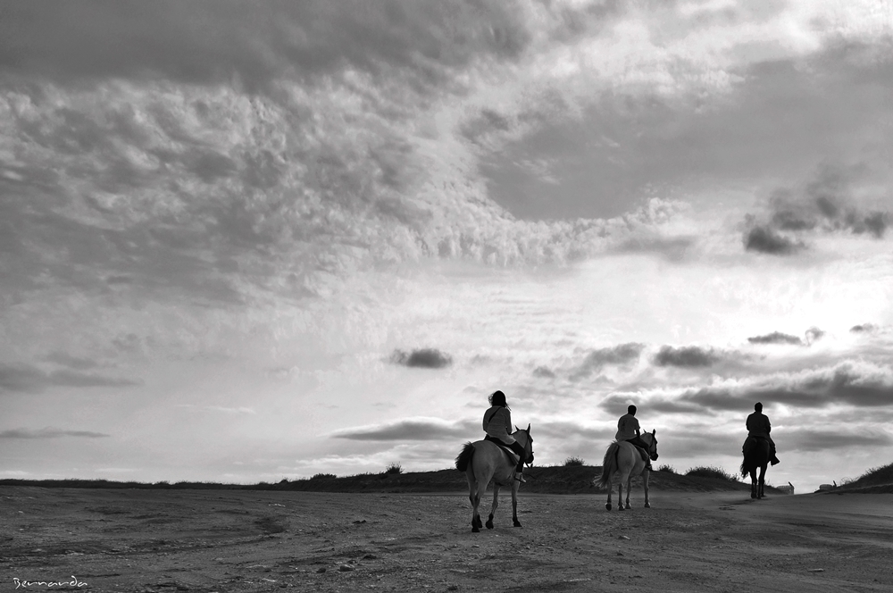 "Los jinetes del atardecer" de Bernarda Ballesteros