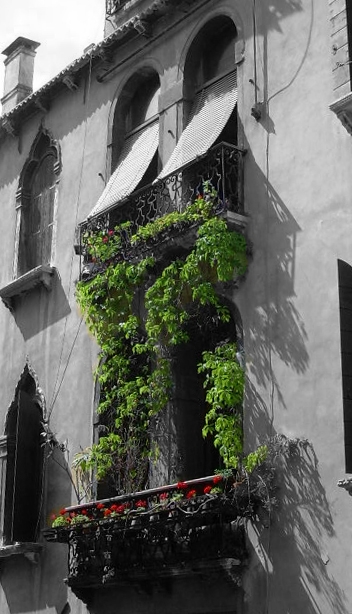 "balcon florido" de Ramiro Antonio Rodriguez Sigliano