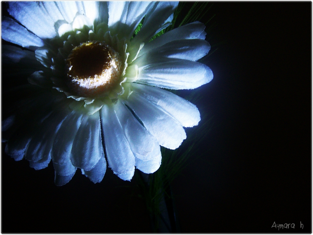 "extrao contra luz" de Aymara Holotte