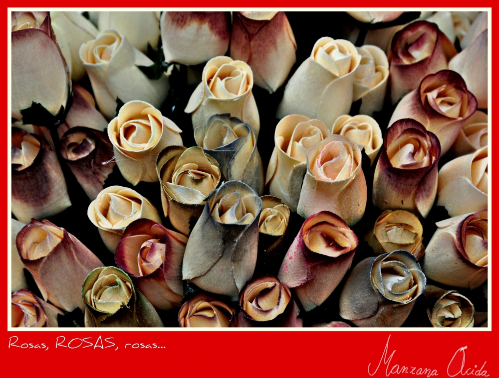 "Rosas, ROSAS, rosas..." de Carmen Esteban