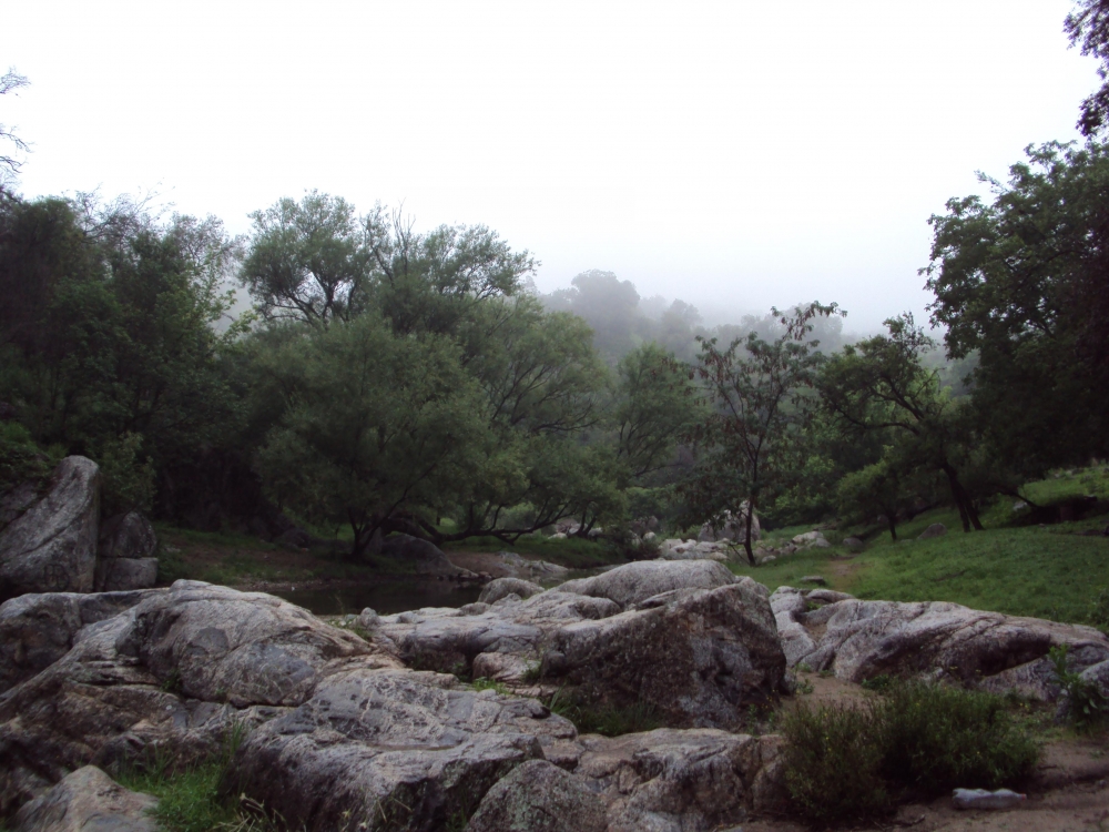 "piedra y niebla" de Lidia Noemi Olivera