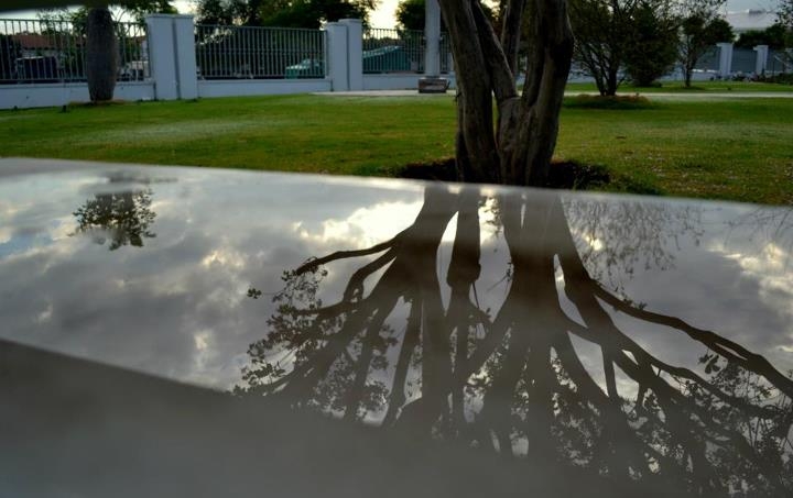 "Reflejos de lluvia." de Florencia Bazan