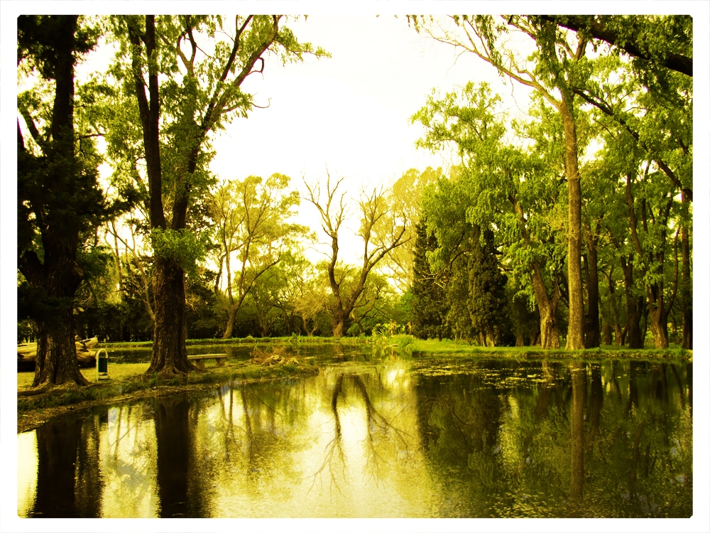 "Pequeo lago del parque" de Emiliano Jimenez