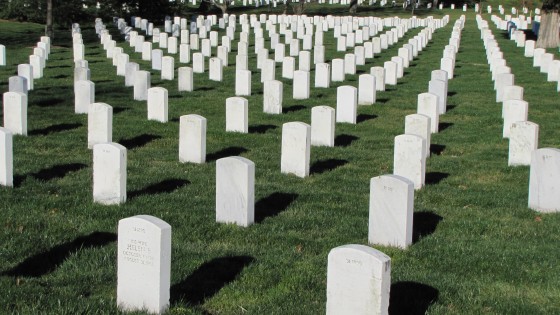 "Arlington Cemetery" de Gloria Gil