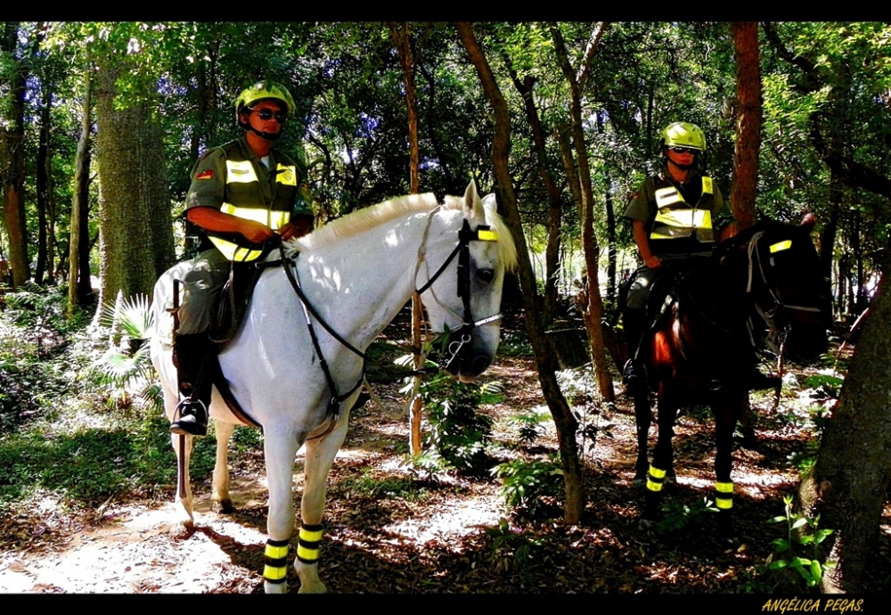 "LA POLICA Y LOS CABALLOS PRECIOSOS.. HEHEHHE" de Anglica Pegas