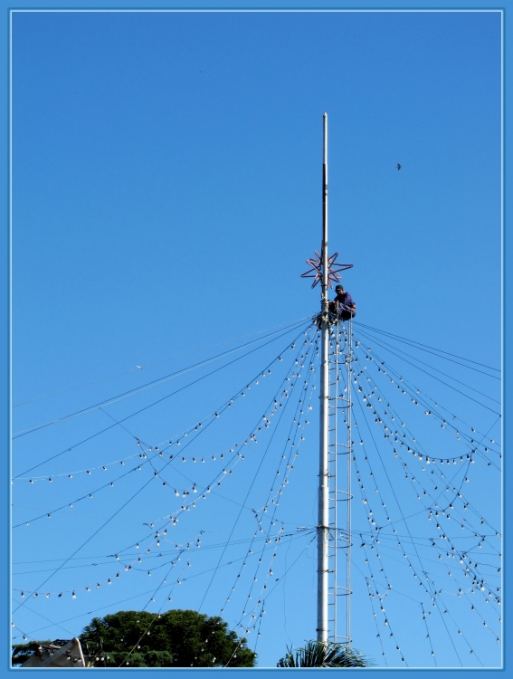 "Vertical y vertiginoso" de Isidro Solrzano