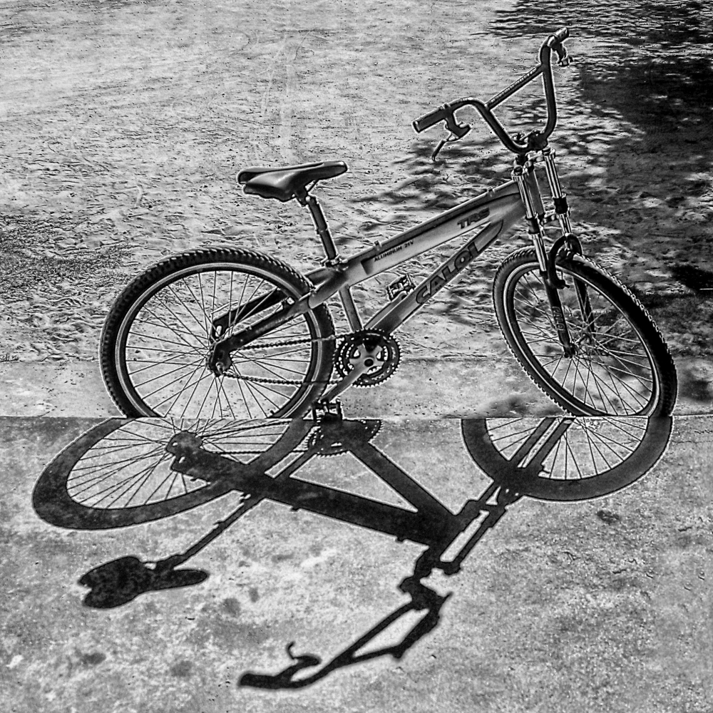 "The bicycle" de Elizabeth Gutirrez (eligut)
