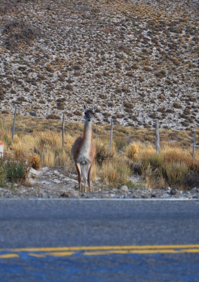 "Qu andar buscando por aqu?" de Oscar Ferrando