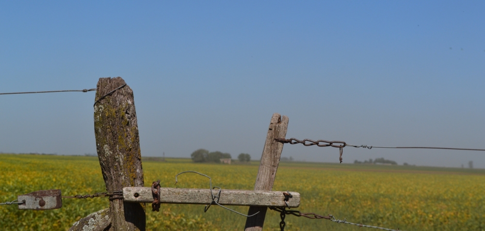 "Detrs de una puerta de campo..." de Edith M. A. Marin