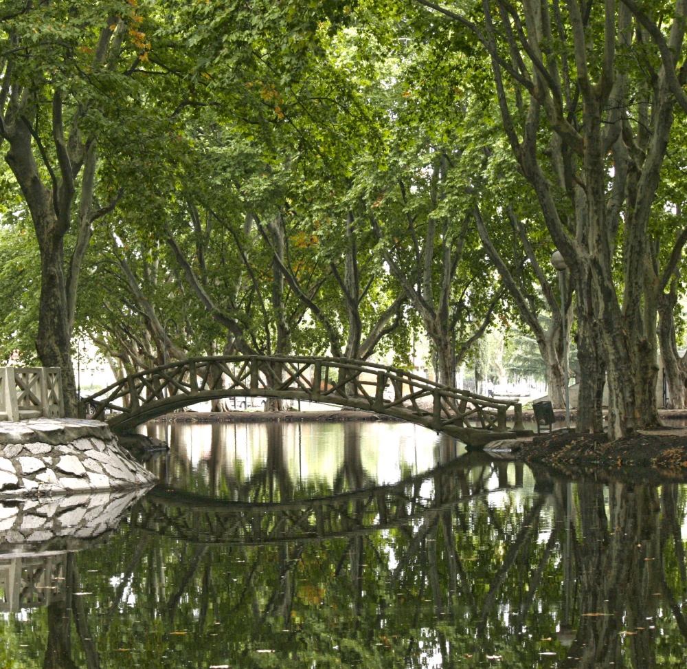 "PARQUE" de Ana Maria Di Cola