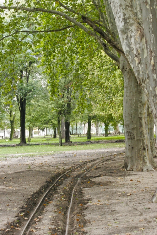 "PARQUE RIO 4" de Ana Maria Di Cola