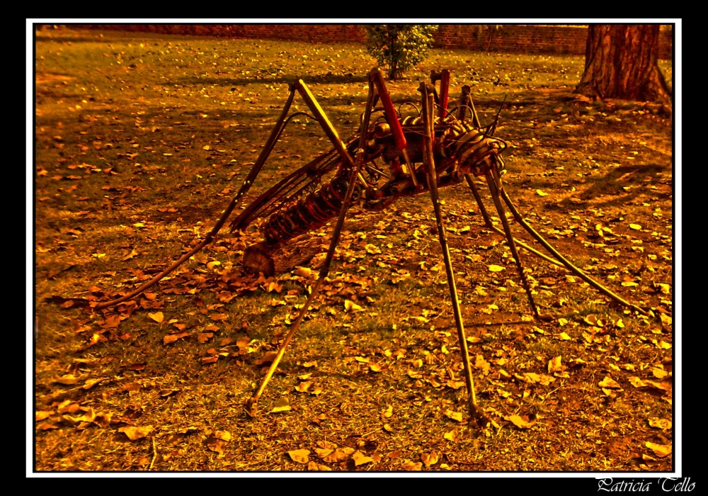 "mosquito" de Sandra Patricia Tello