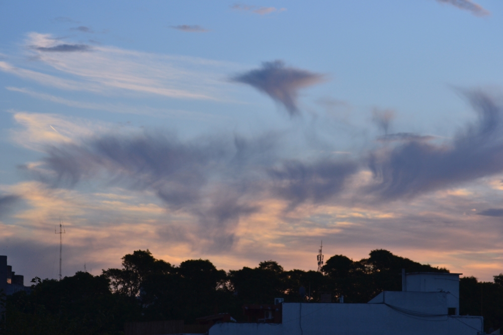 "Un pjaro de nube.." de Alejandra Latella