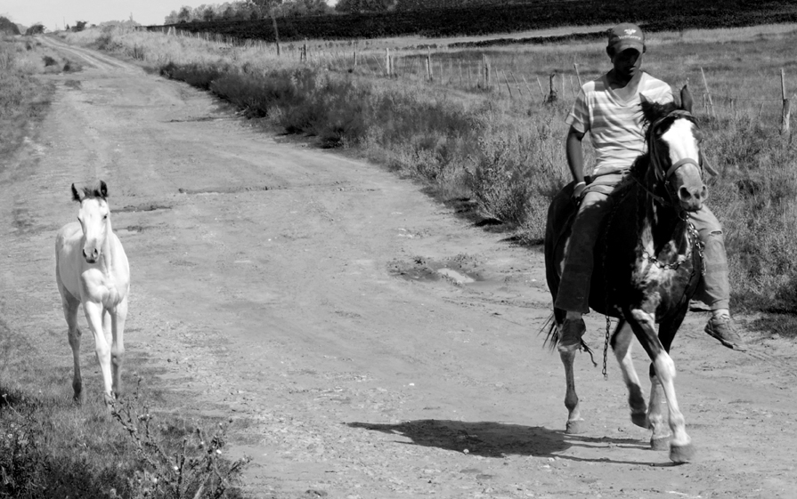 "De paseo" de Marcelo Horacio Insaurralde