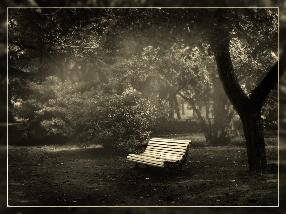 "Maanita en el parque" de Eli - Elisabet Ferrari