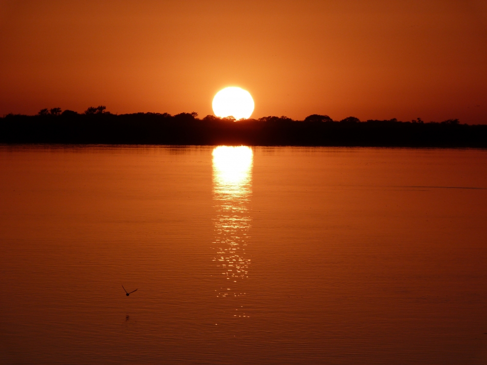 "Amanecer" de Marcelo Genetti