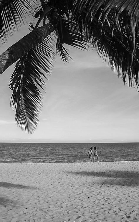 "Amigas de verano" de Elizabeth Gutirrez (eligut)