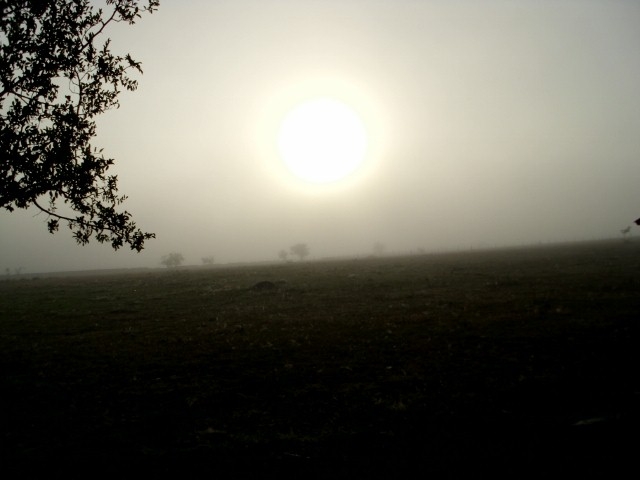 "Amaneciendo con niebla" de Oscar Robatto Rodriguez