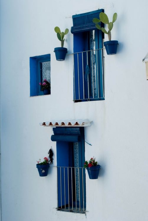 "Balcones mediterrneos" de Manuela Domenech Cardenachs