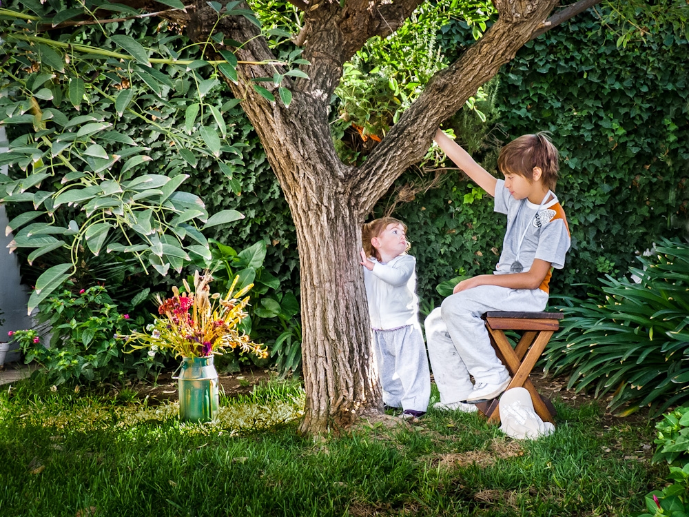 "Juntos en el arbol" de Fernando Buezas