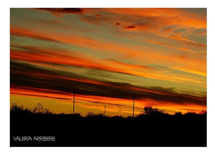 "La tardecita..." de Valeria Arribere