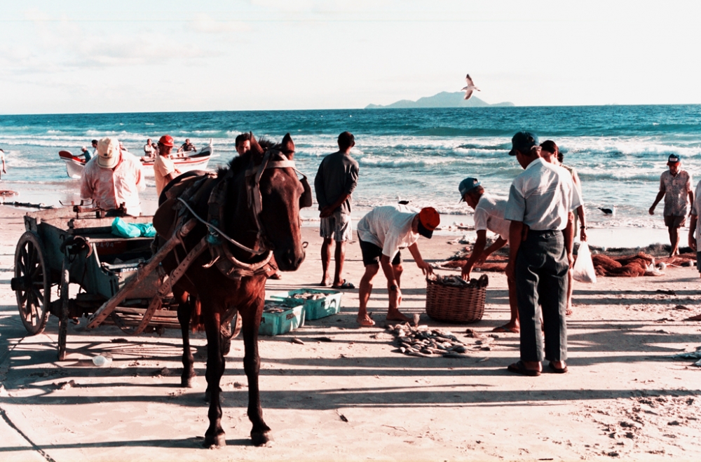 "Terminando la faena" de Ricardo H. Molinelli