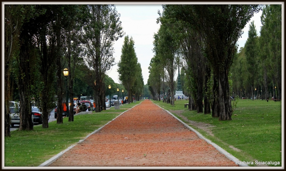 "Camino infinito" de Brbara M. Sciacaluga