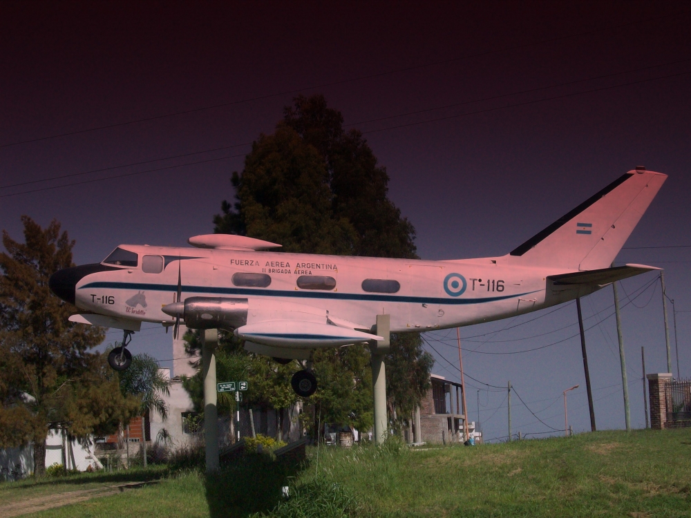 "Vuelo en tierra" de Oscar Alfredo Vazquez