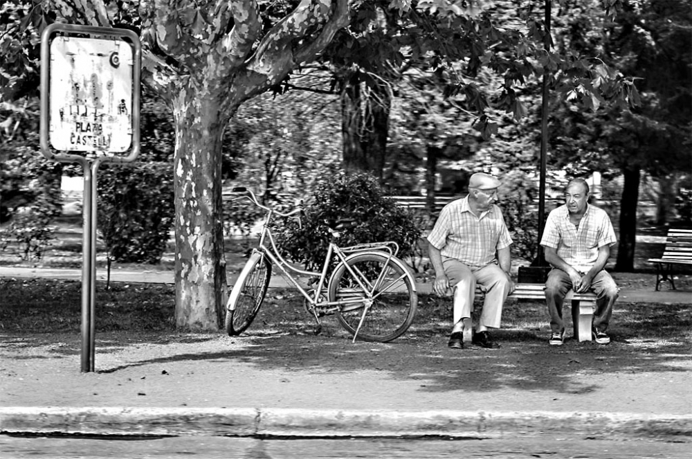 "Amigos de Castelli" de Elizabeth Gutirrez (eligut)