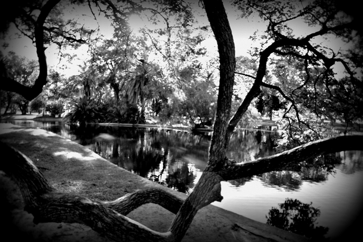 "parque misterioso II" de Hugo Alberto Veinticcinque