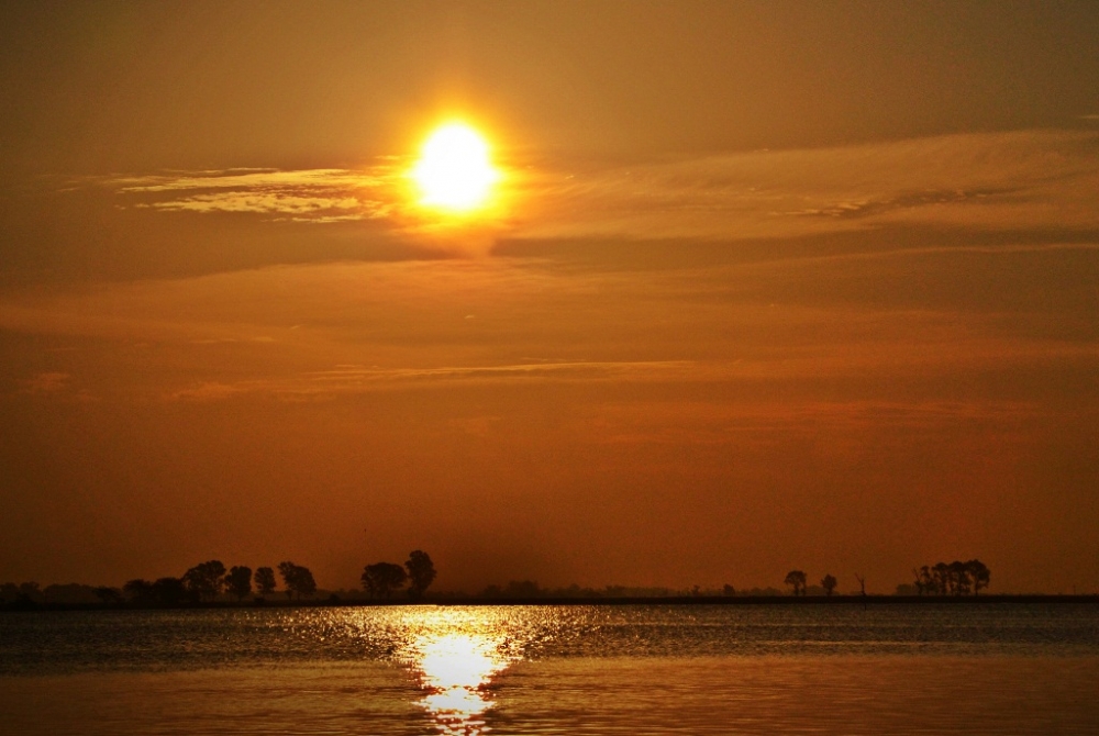 "Tarde de paz... tarde de sol" de Mercedes Orden