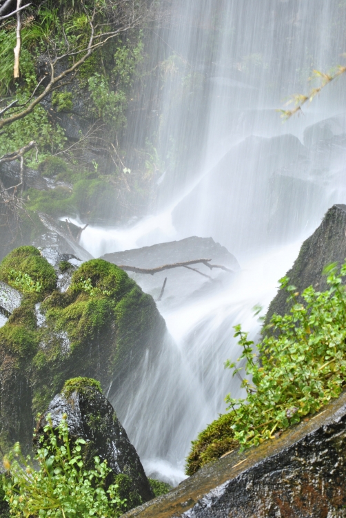 "cascada del guardaparque" de Florencia Semper