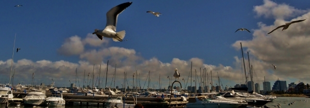 "llegando al puerto..." de Hctor Rodrguez Cacheiro