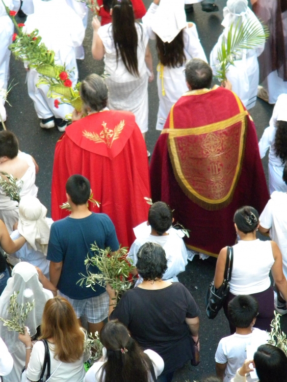 "Domingo de Ramos.....la llegada" de Marcelo Sergio Gonzalez