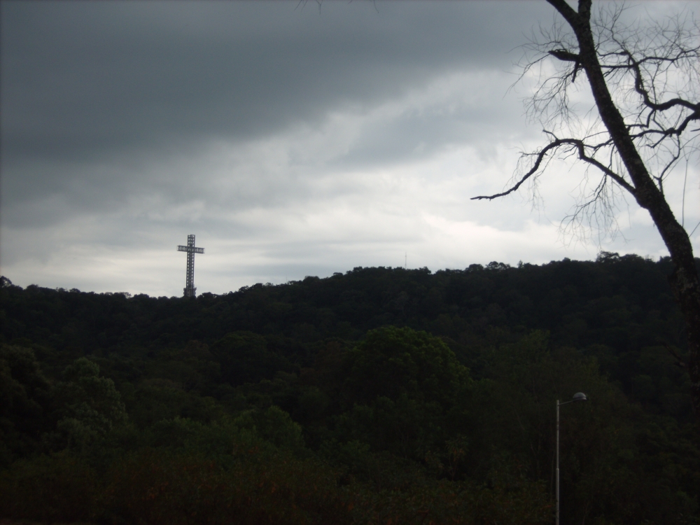 "La Cruz de la Selva" de Alfonso Romero