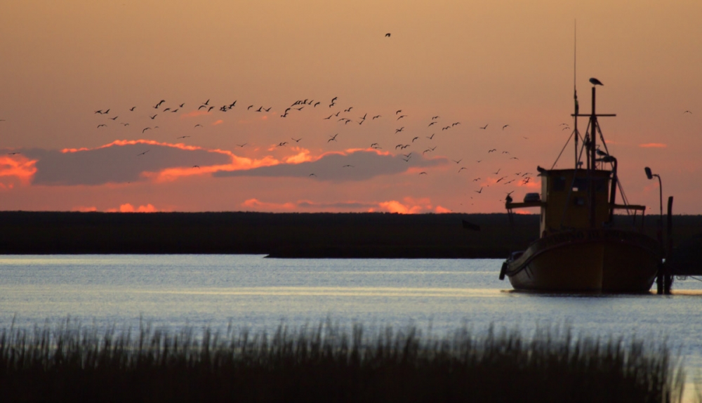 "bote al atardecer" de Edith Polverini